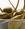 capperi_capperi