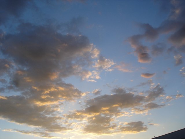 Foto di vanillasky21