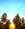 Bennyeal