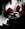 Black_Symphony