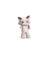 Brivido_Felino_m