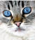 CatDani