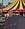 CircoIncisoTogni