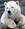 Crichton_John