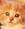 Crissy_o_ginger