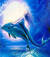 Dolphin.24