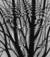Edom_one