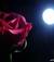 EtrA_light