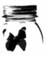 Farfalle_di_miELE