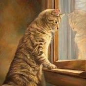 Gattoallafinestra