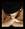 IncisoNelTuoCuore