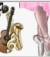 LOVEinMUSICA
