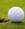 Ladygolf1