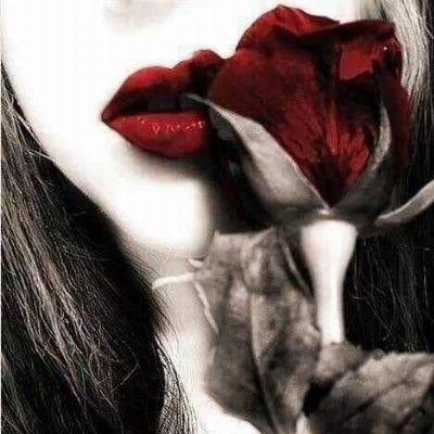 Se copi, violi le regole della Community