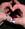 LiViNg_NeVerLanD
