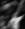 LucaBasso75