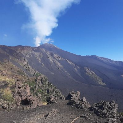 Se copi, violi le regole della Community