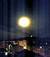 LunaBlu_D