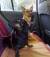 Milou_Jole_e_co_snc