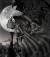 NaNi_DaRk_GoTiCh