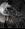 NaNi_DaRk_GoTiCh