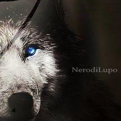 Nero.di.Lupo