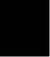 NonTemeraiTerrore