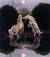 Ombra_che_Clona