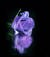 PURPLE_RAINY_DAY