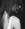 RIN.TOCCHI_MENTALI