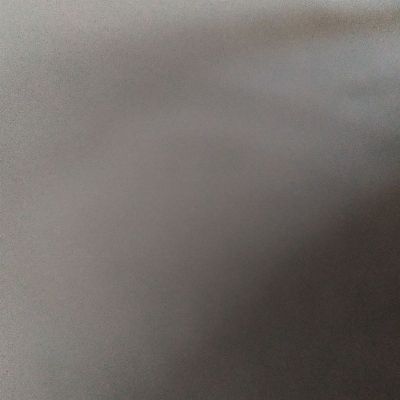 Selvag_giaMente