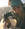 Settima_Corda