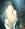 ShadowDio82