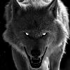 Skoll67
