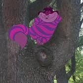 Stregattostrega