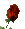 TentarNonNuocedgl
