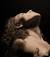 TheSolitaryMuse