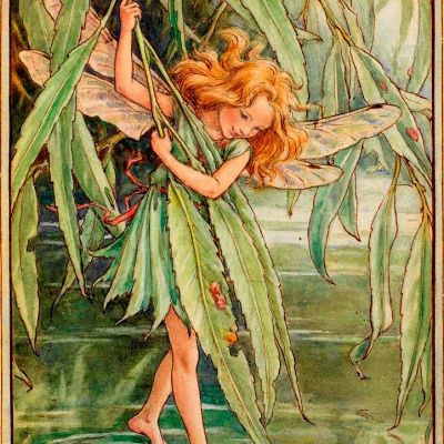 TheWillowFairy