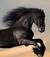 alfio_1965