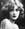 alice_s_velata