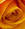 ambra_7