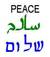 amed_83