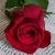amicizia_sincera238