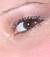 amis83_ms