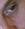 amomondo