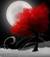amore_dove_sei_66