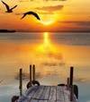angellove740