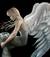 angelsky_s
