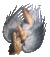 animalibera1dgl