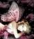 antelia2006